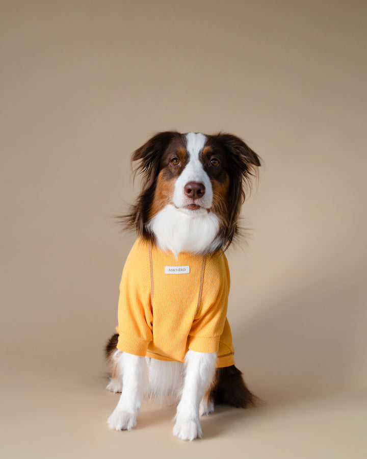 Waffle Tshirt | Honey Glow