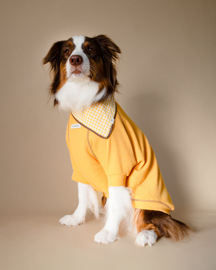 Waffle Tshirt | Honey Glow