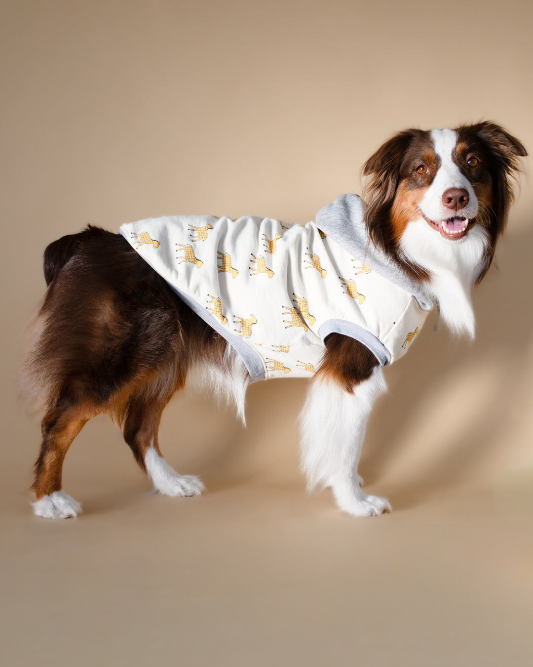 Wild Mustang Sweatshirt