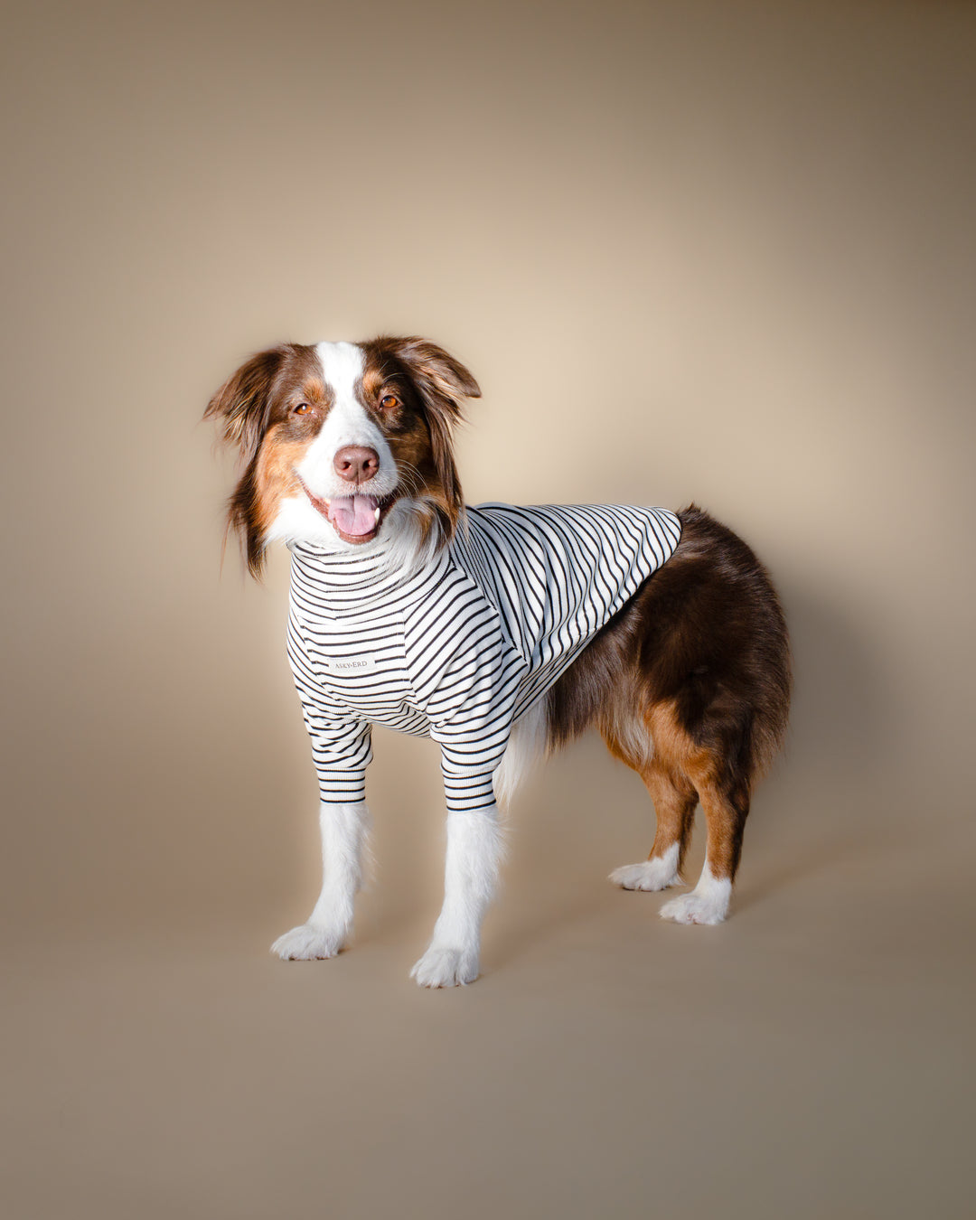 Turtleneck Tshirt | Classic Stripe