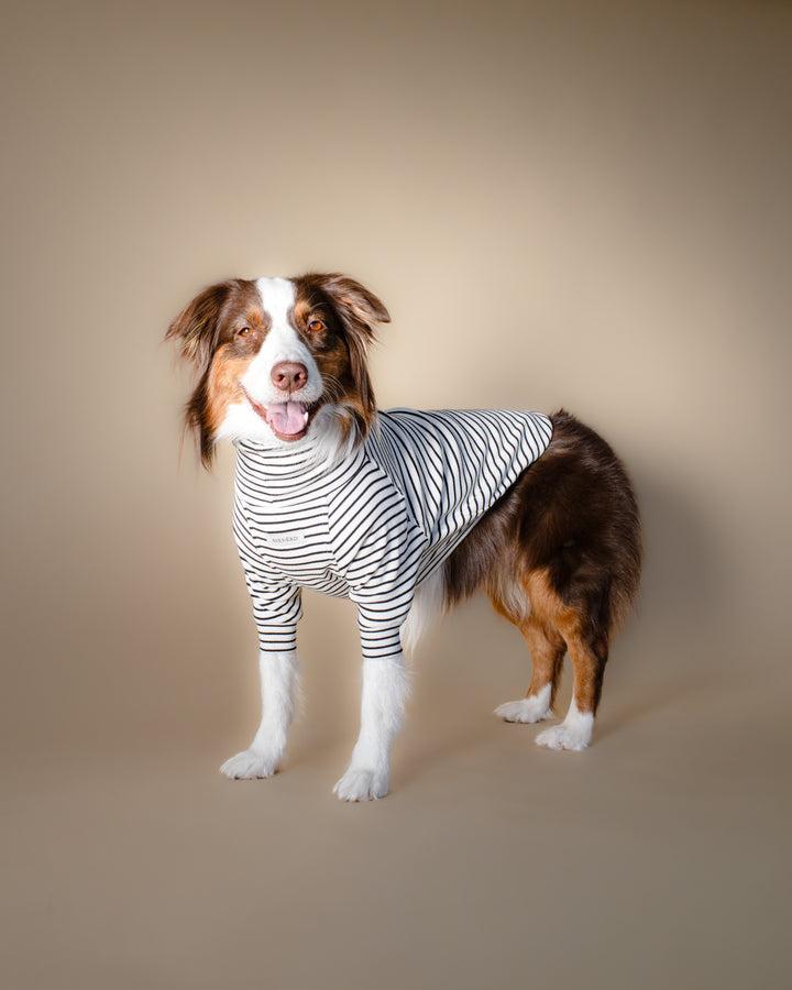 Turtleneck Tshirt | Classic Stripe