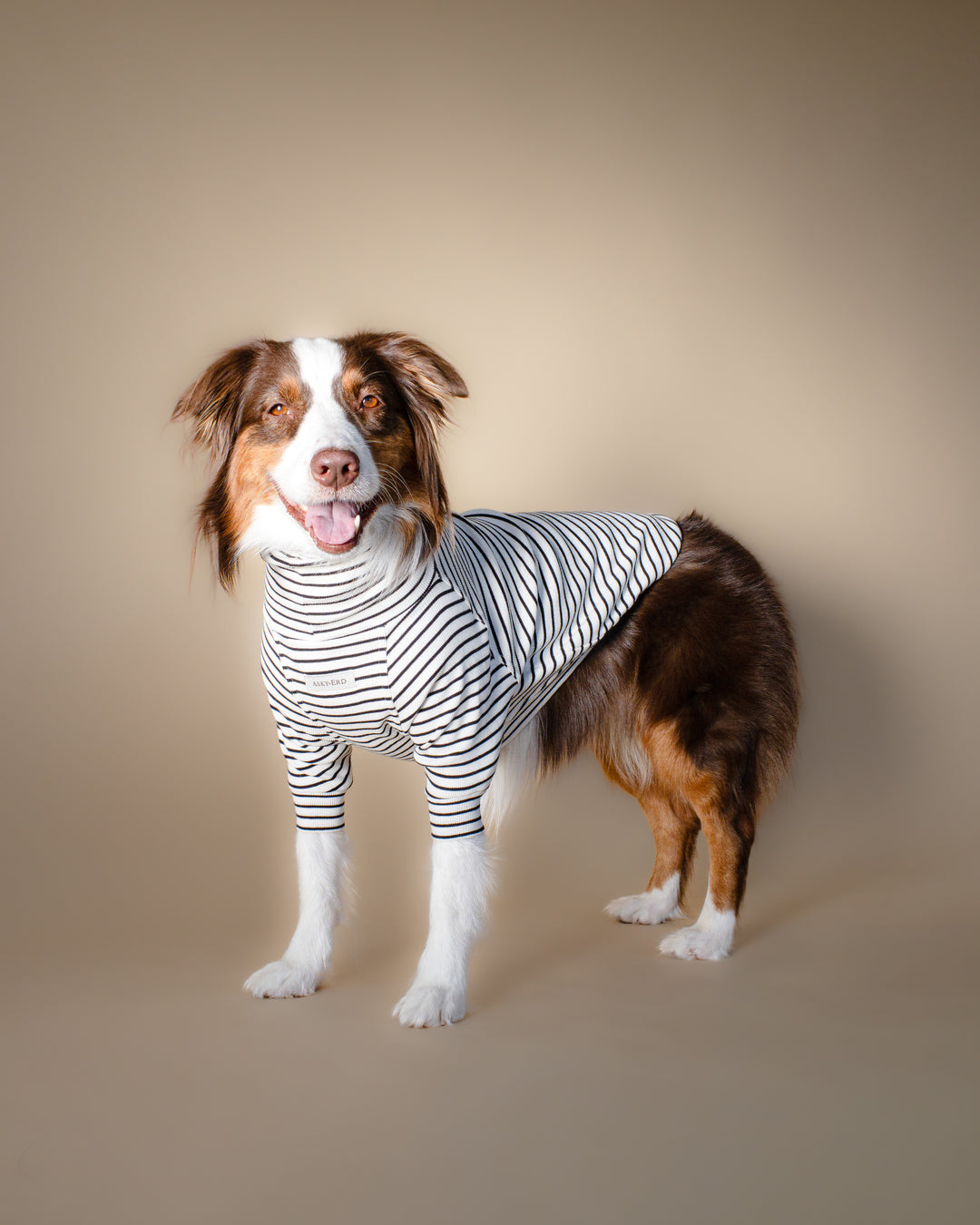 Turtleneck Tshirt | Classic Stripe