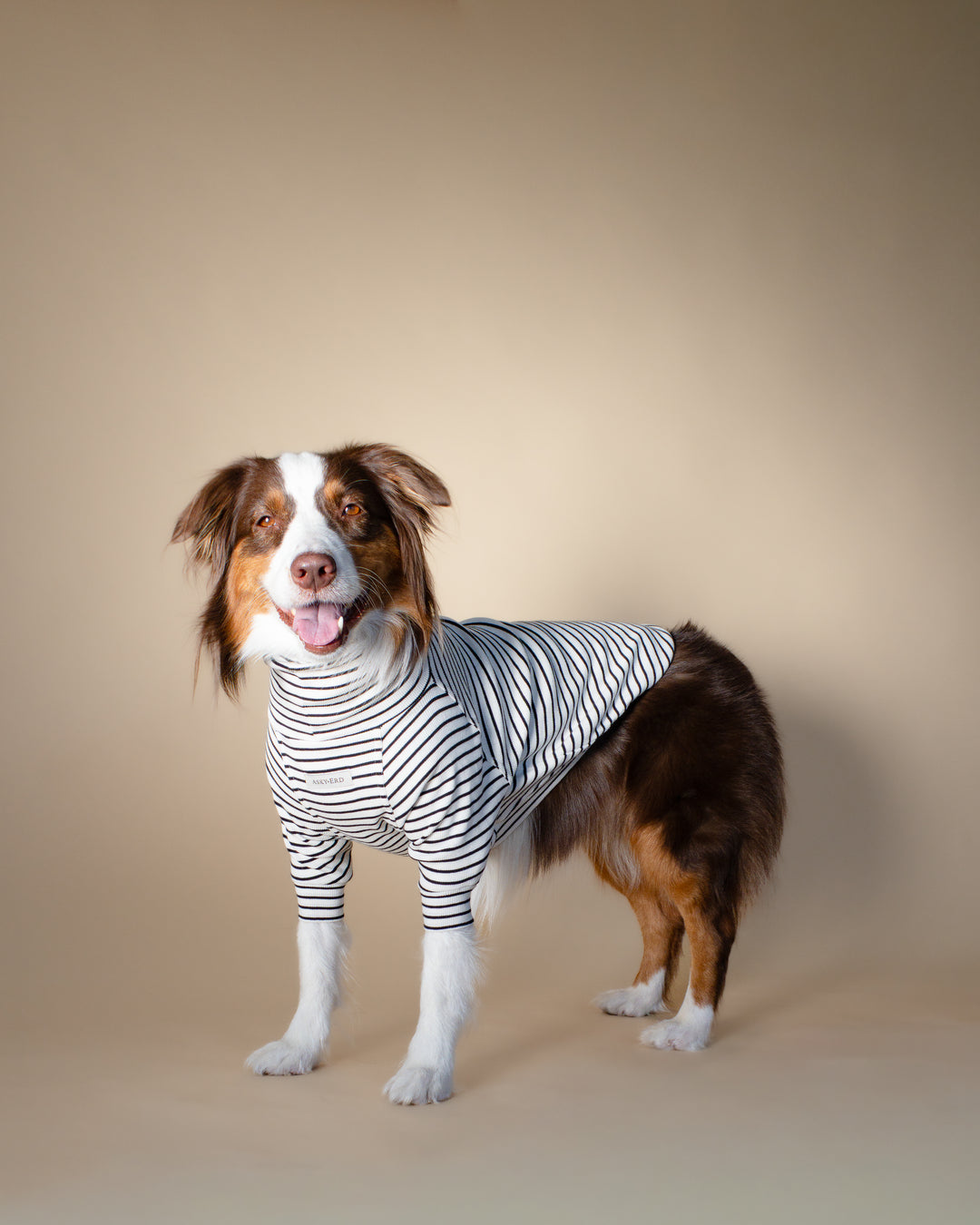 Turtleneck Tshirt | Classic Stripe