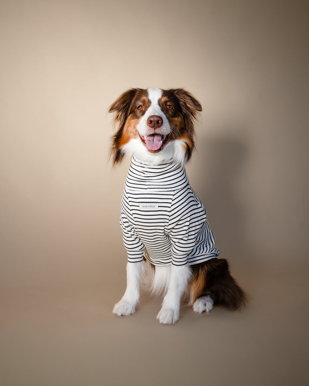 Turtleneck Tshirt | Classic Stripe