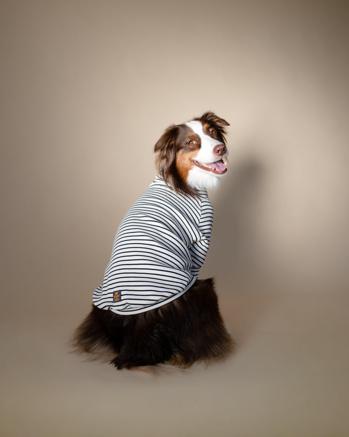 Turtleneck Tshirt | Classic Stripe