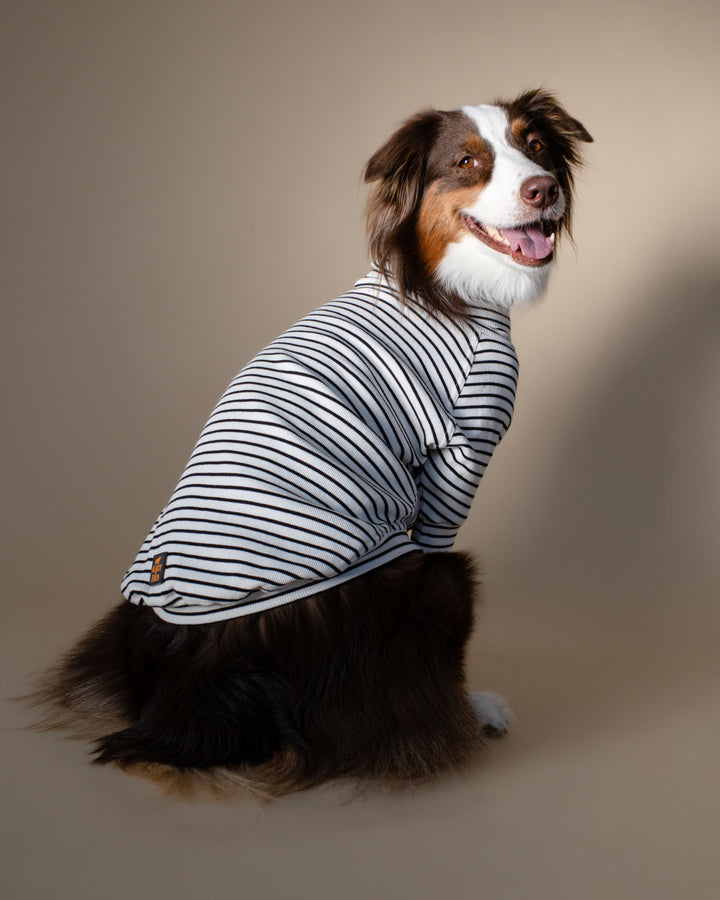 Turtleneck Tshirt | Classic Stripe