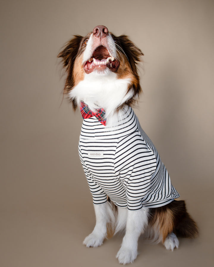 Turtleneck Tshirt | Classic Stripe