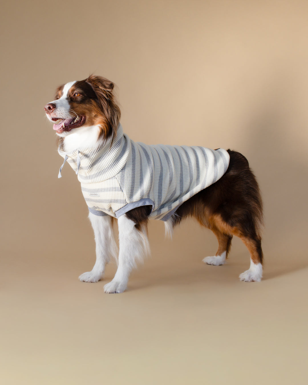 Waffle Knit | Coastal Stripe