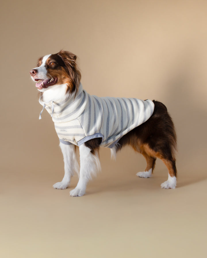 Waffle Knit | Coastal Stripe