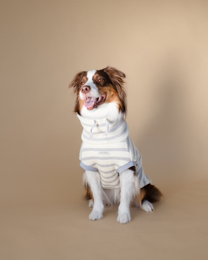 Waffle Knit | Coastal Stripe
