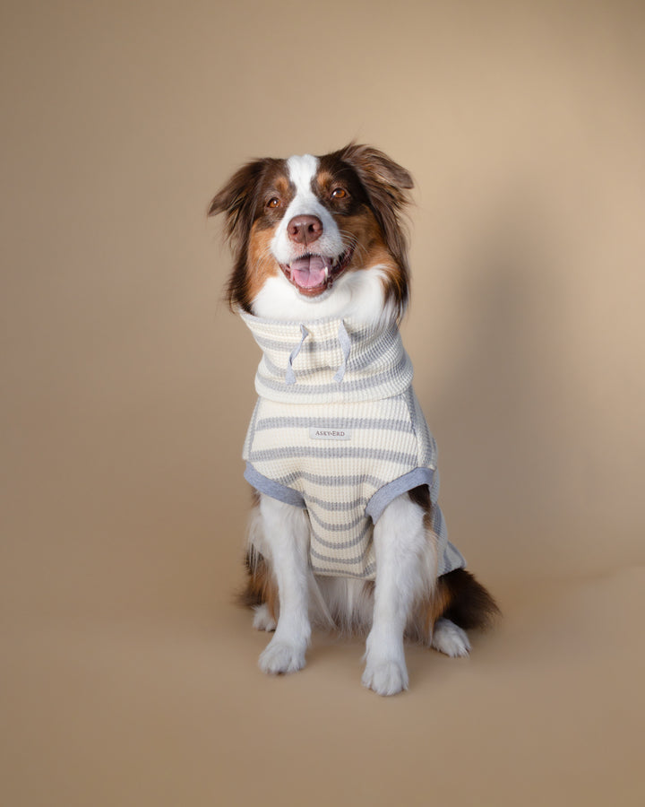 Waffle Knit | Coastal Stripe