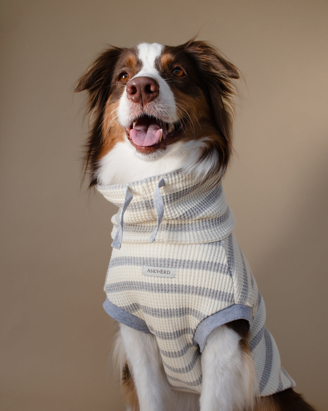 Waffle Knit | Coastal Stripe