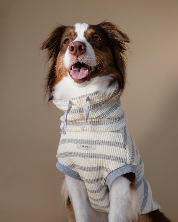 Waffle Knit | Coastal Stripe