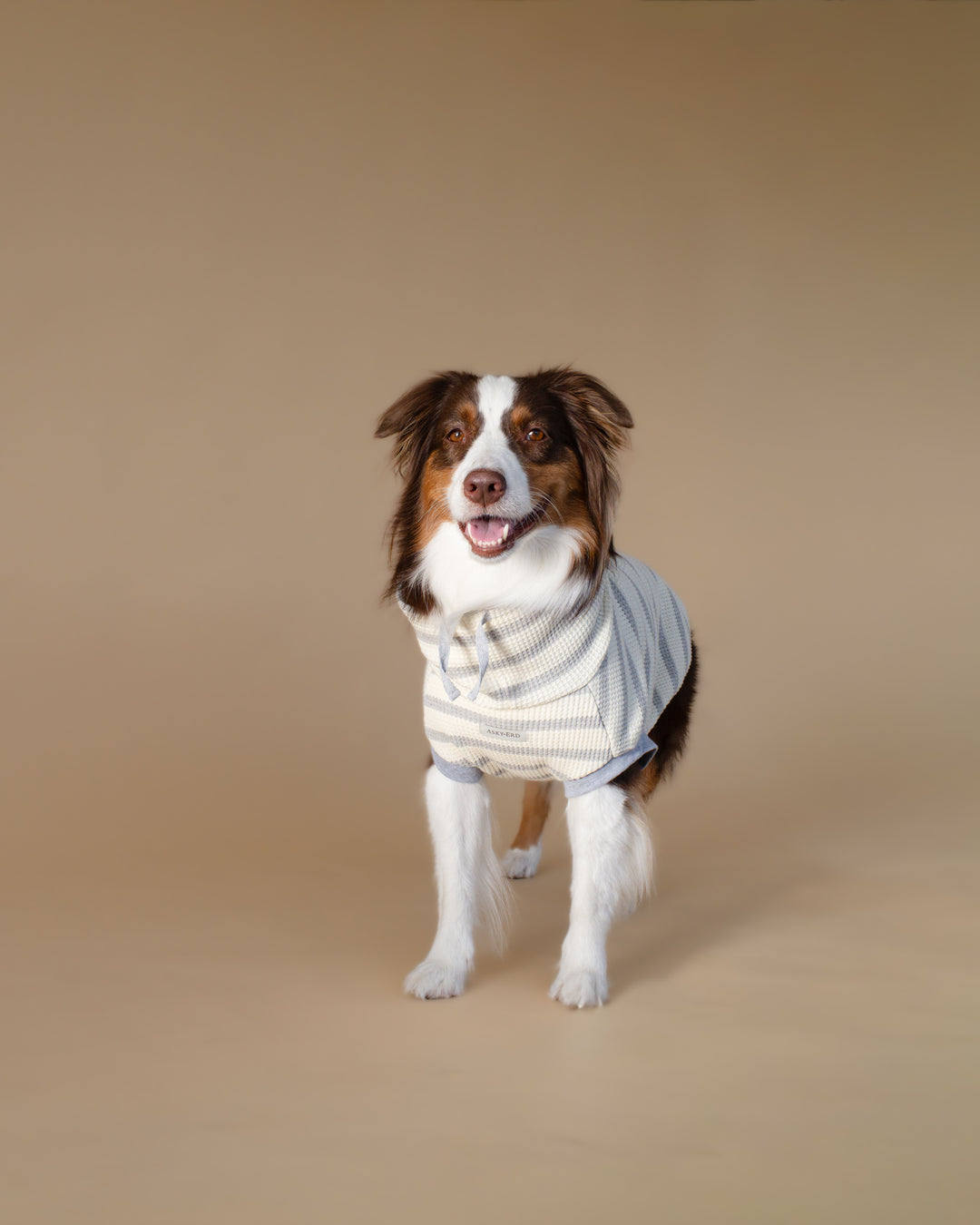 Waffle Knit | Coastal Stripe