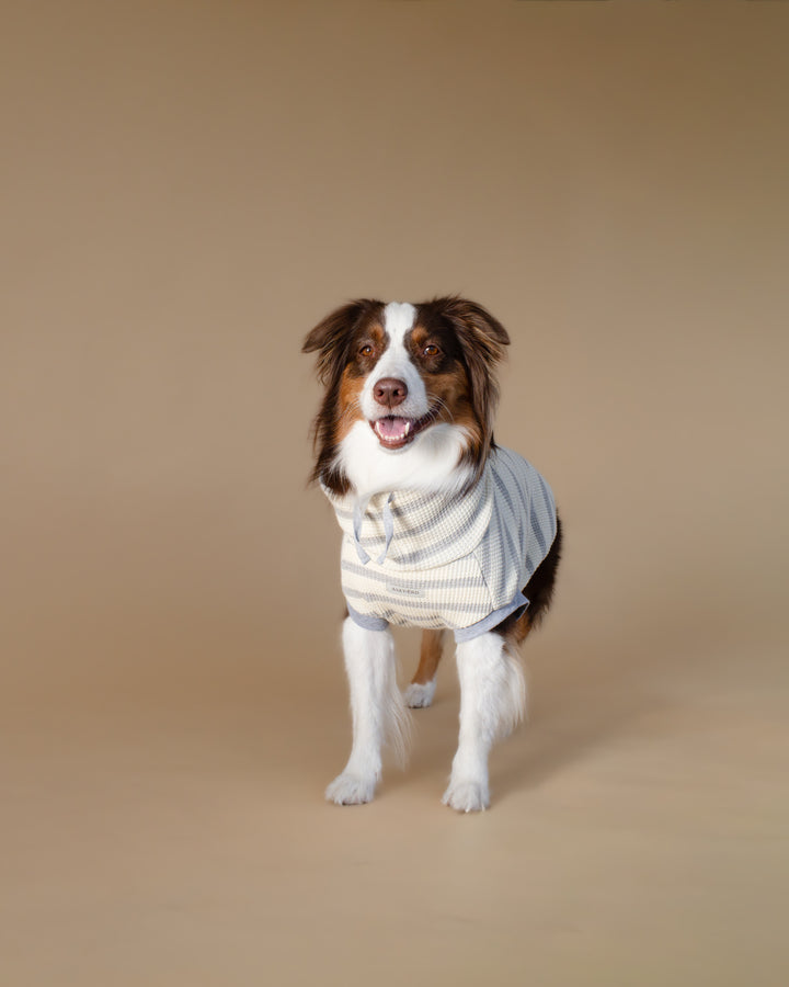 Waffle Knit | Coastal Stripe