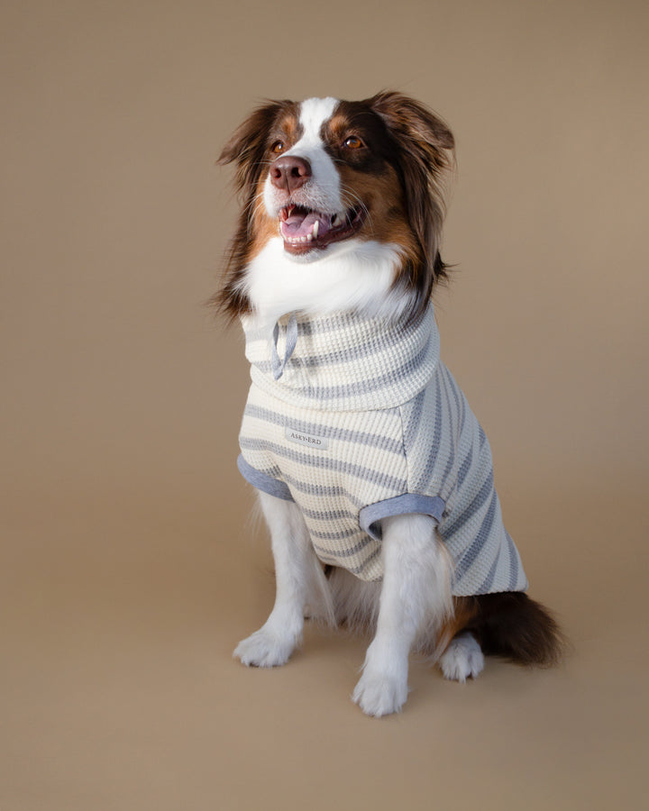 Waffle Knit | Coastal Stripe