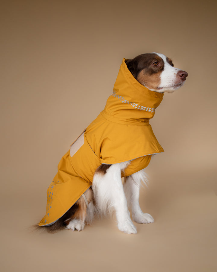 Seattle StormGuard Coat | Mustard Fog