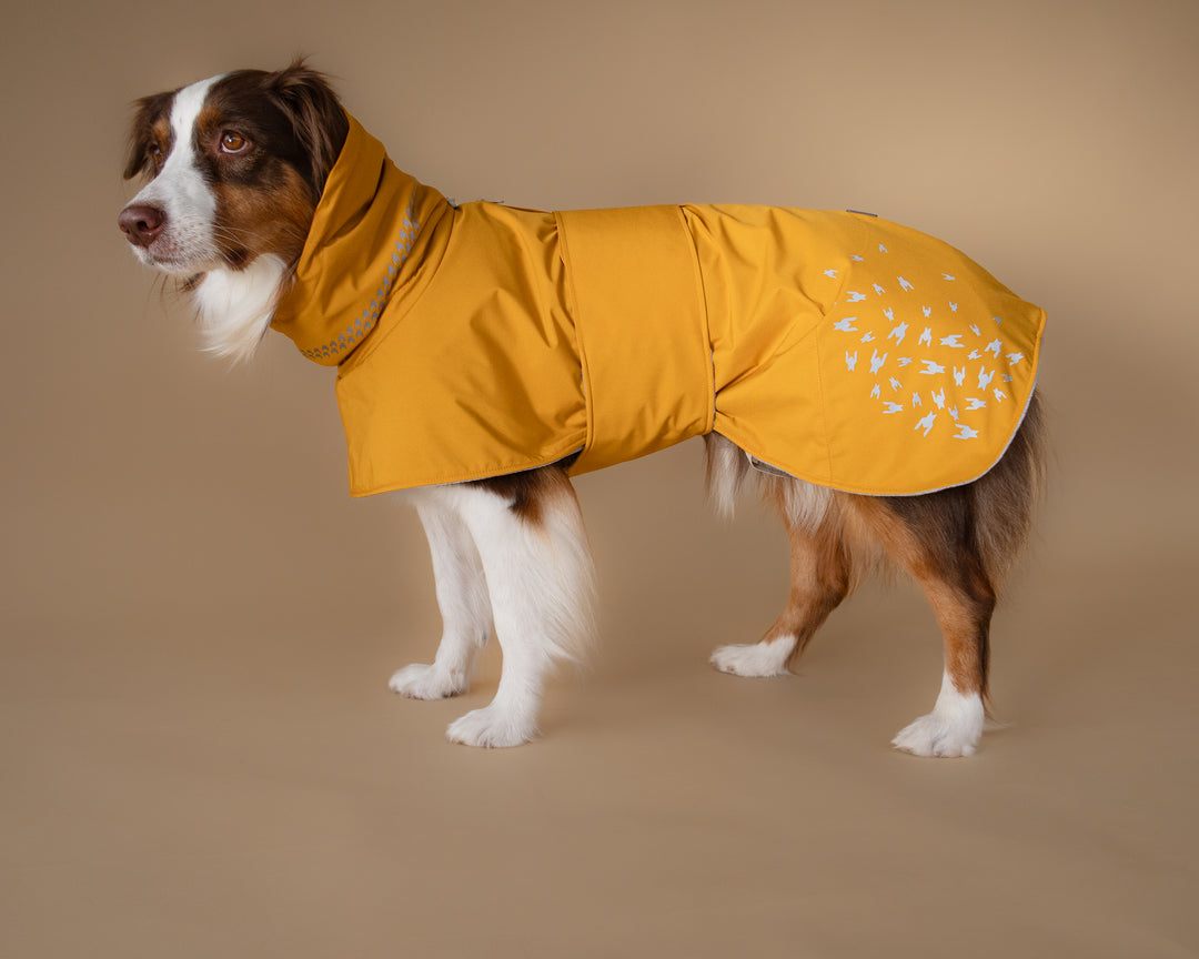 Seattle StormGuard Coat | Mustard Fog