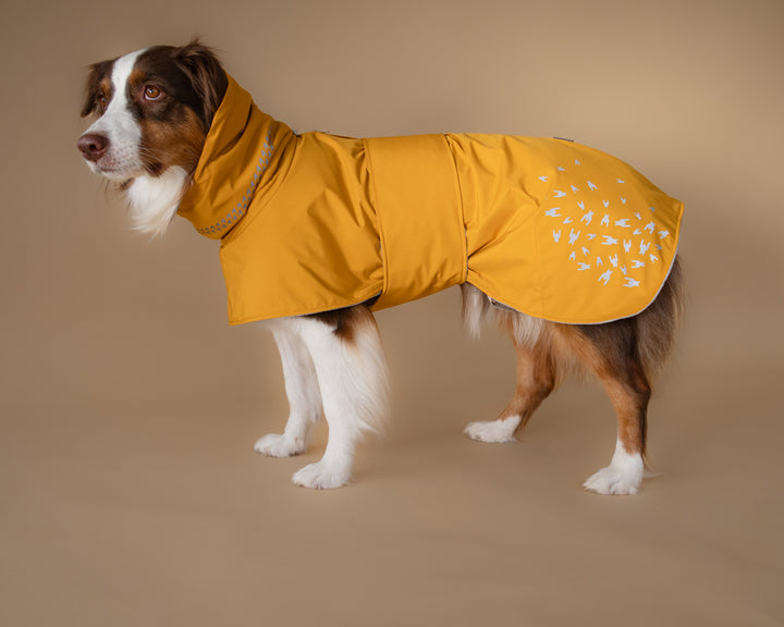 Seattle StormGuard Coat | Mustard Fog