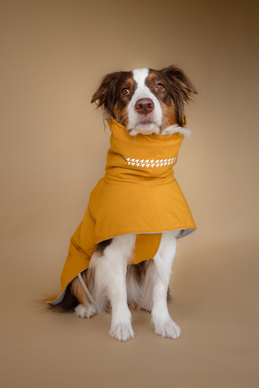 Seattle StormGuard Coat | Mustard Fog