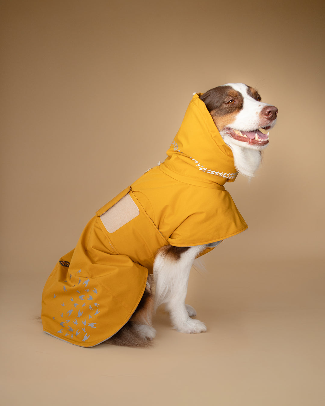 Seattle StormGuard Coat | Mustard Fog