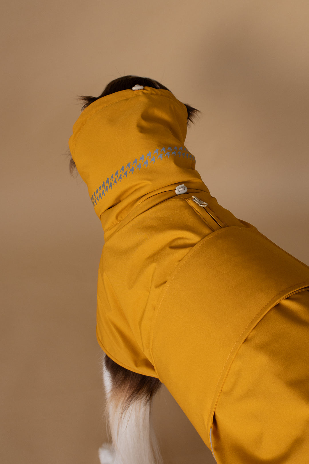 Seattle StormGuard Coat | Mustard Fog