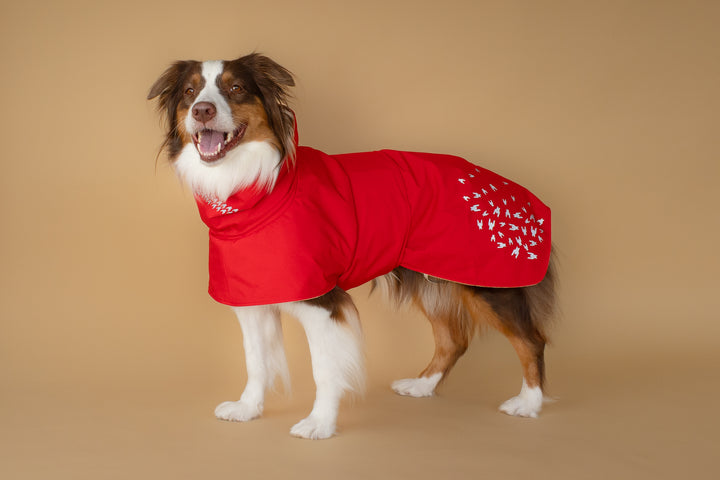 Seattle StormGuard Coat | Scarlet Sand