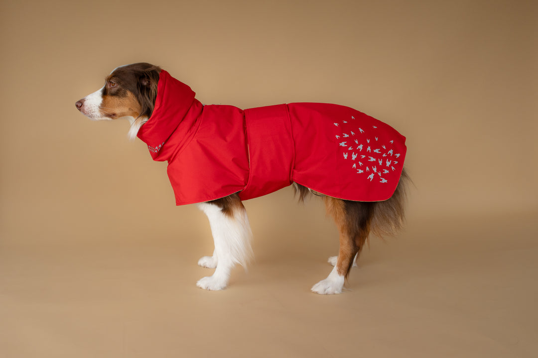 Seattle StormGuard Coat | Scarlet Sand