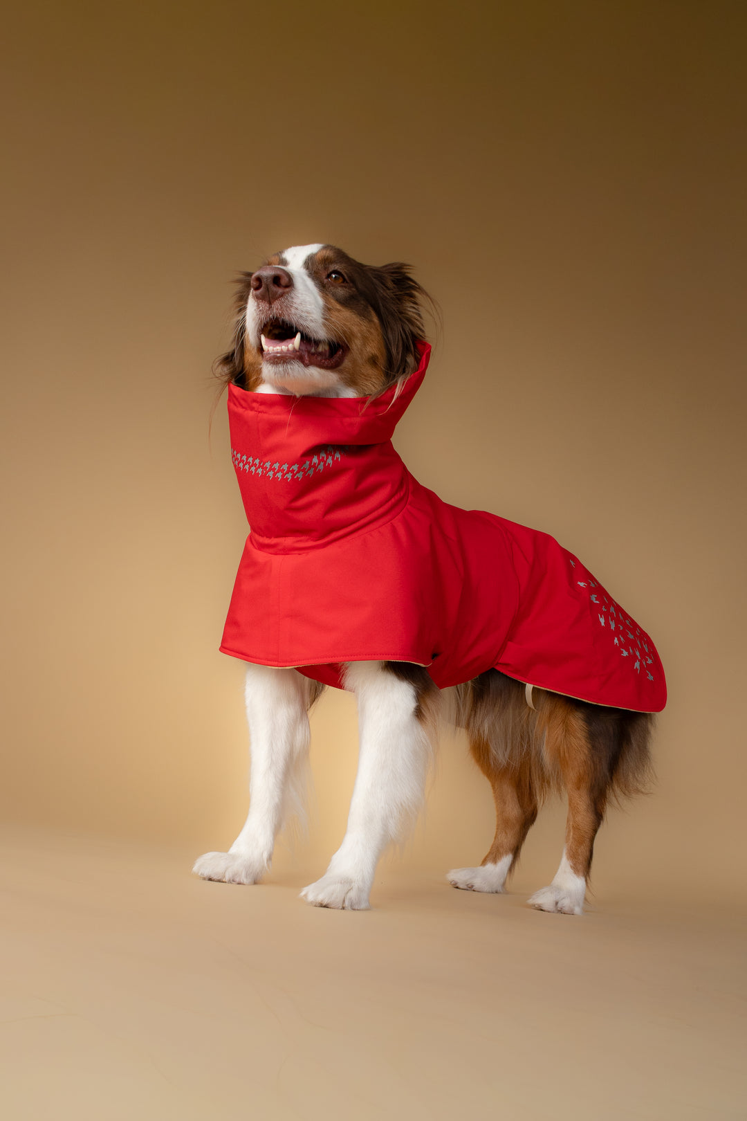 Seattle StormGuard Coat | Scarlet Sand