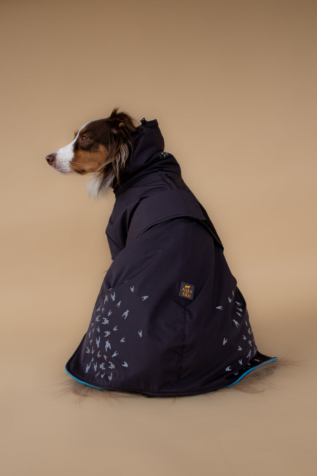 Seattle StormGuard Coat | Charcoal Ice