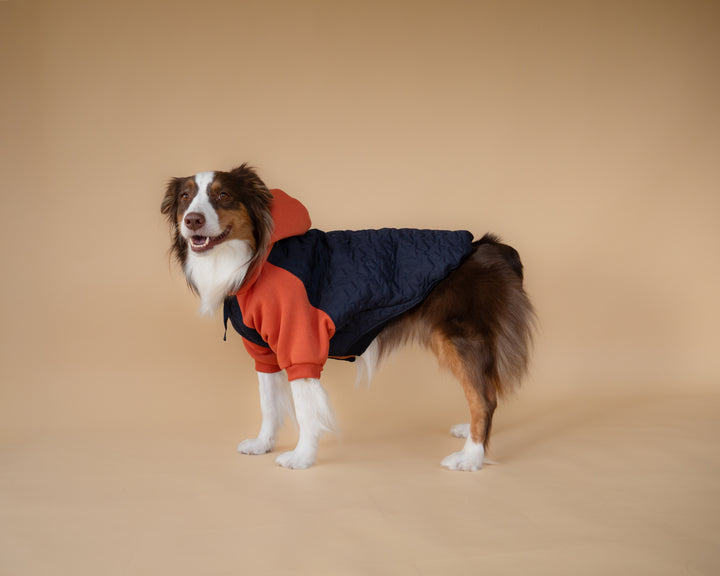 Star Varsity Hoodie | Terracotta