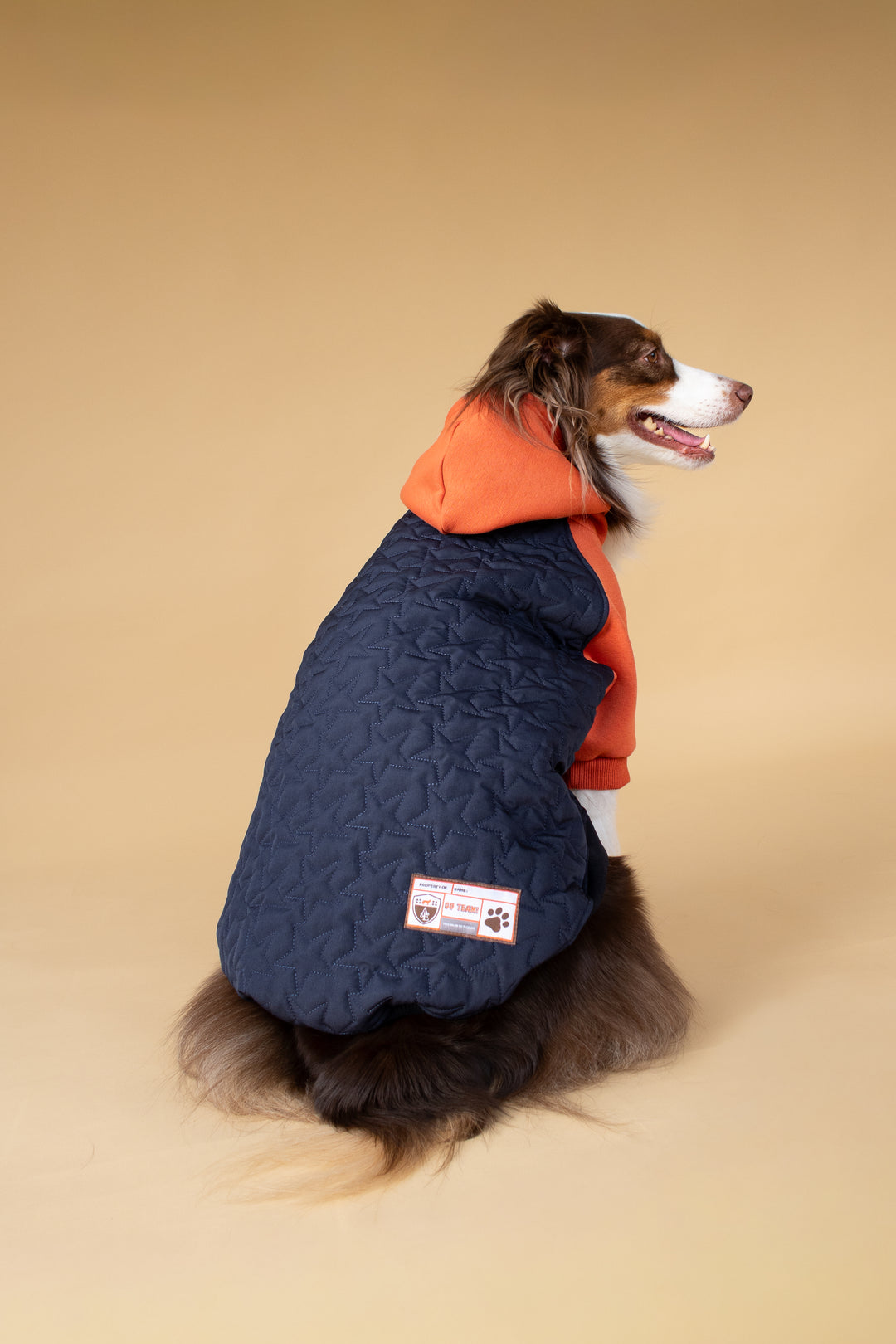 Star Varsity Hoodie | Terracotta