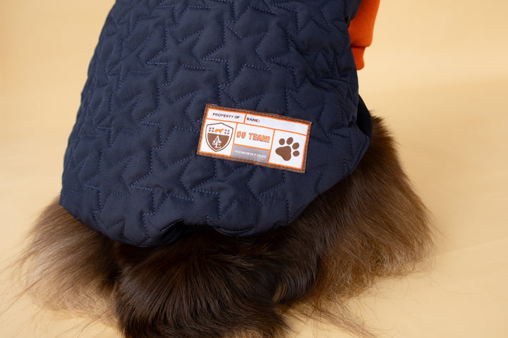 Star Varsity Hoodie | Terracotta