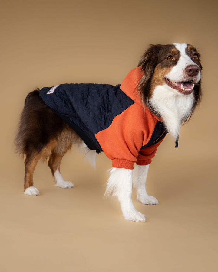 Star Varsity Hoodie | Terracotta