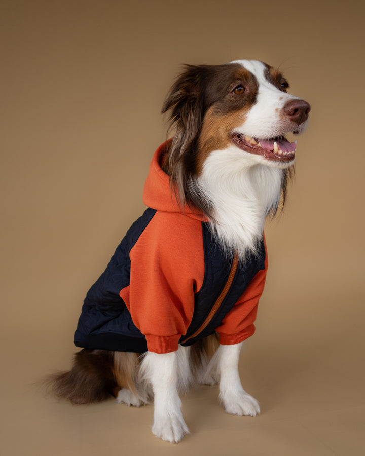 Star Varsity Hoodie | Terracotta