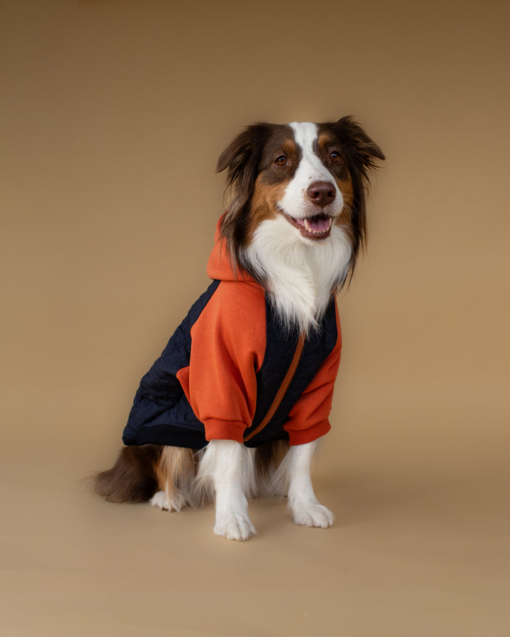 Star Varsity Hoodie | Terracotta