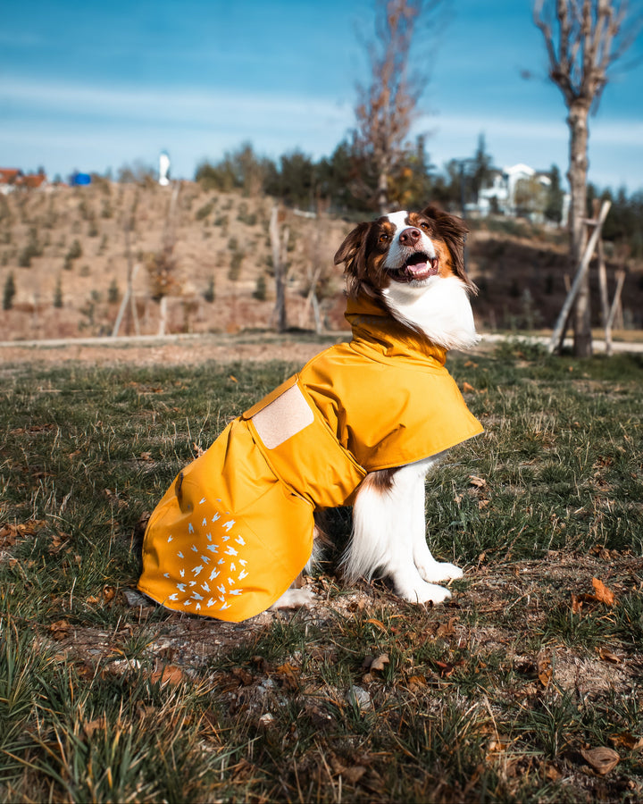 Seattle StormGuard Coat | Mustard Fog