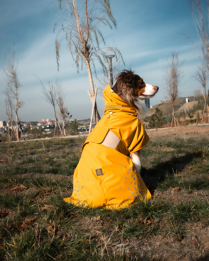 Seattle StormGuard Coat | Mustard Fog