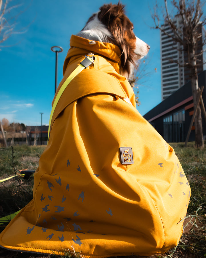 Seattle StormGuard Coat | Mustard Fog