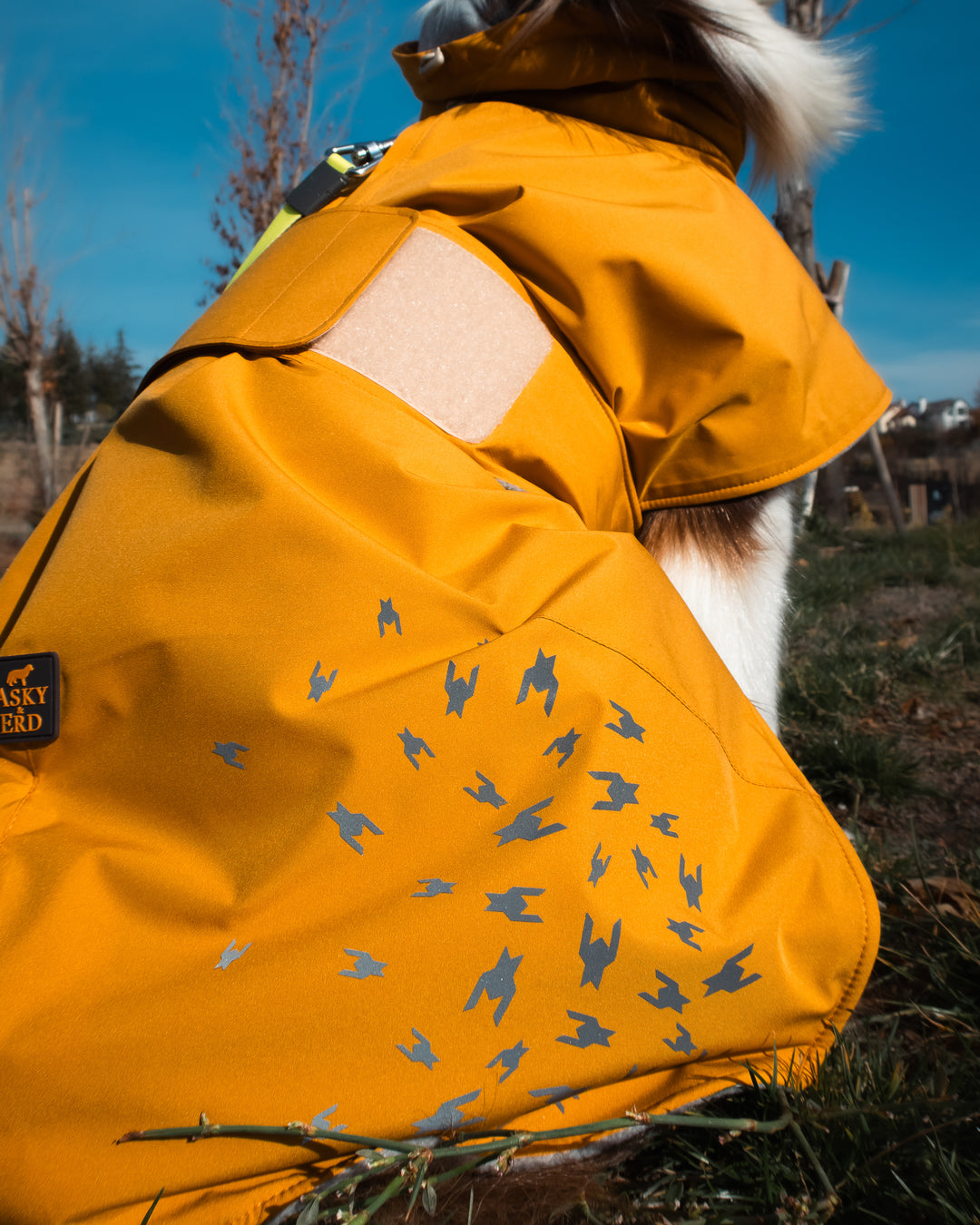 Seattle StormGuard Coat | Mustard Fog