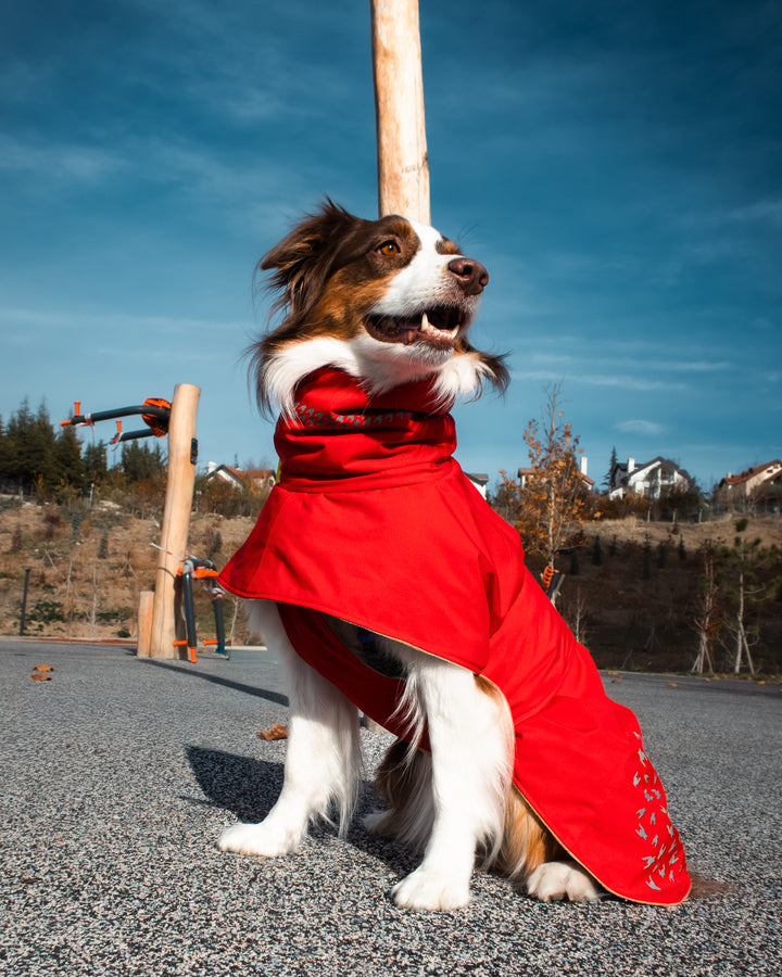 Seattle StormGuard Coat | Scarlet Sand