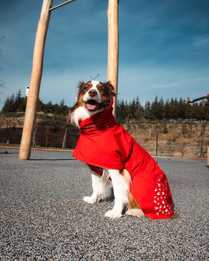 Seattle StormGuard Coat | Scarlet Sand