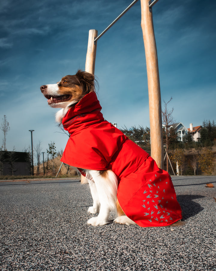 Seattle StormGuard Coat | Scarlet Sand