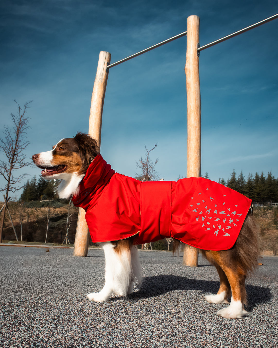 Seattle StormGuard Coat | Scarlet Sand