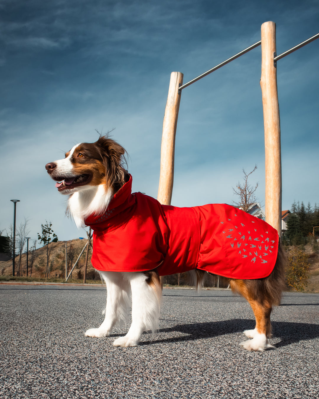 Seattle StormGuard Coat | Scarlet Sand