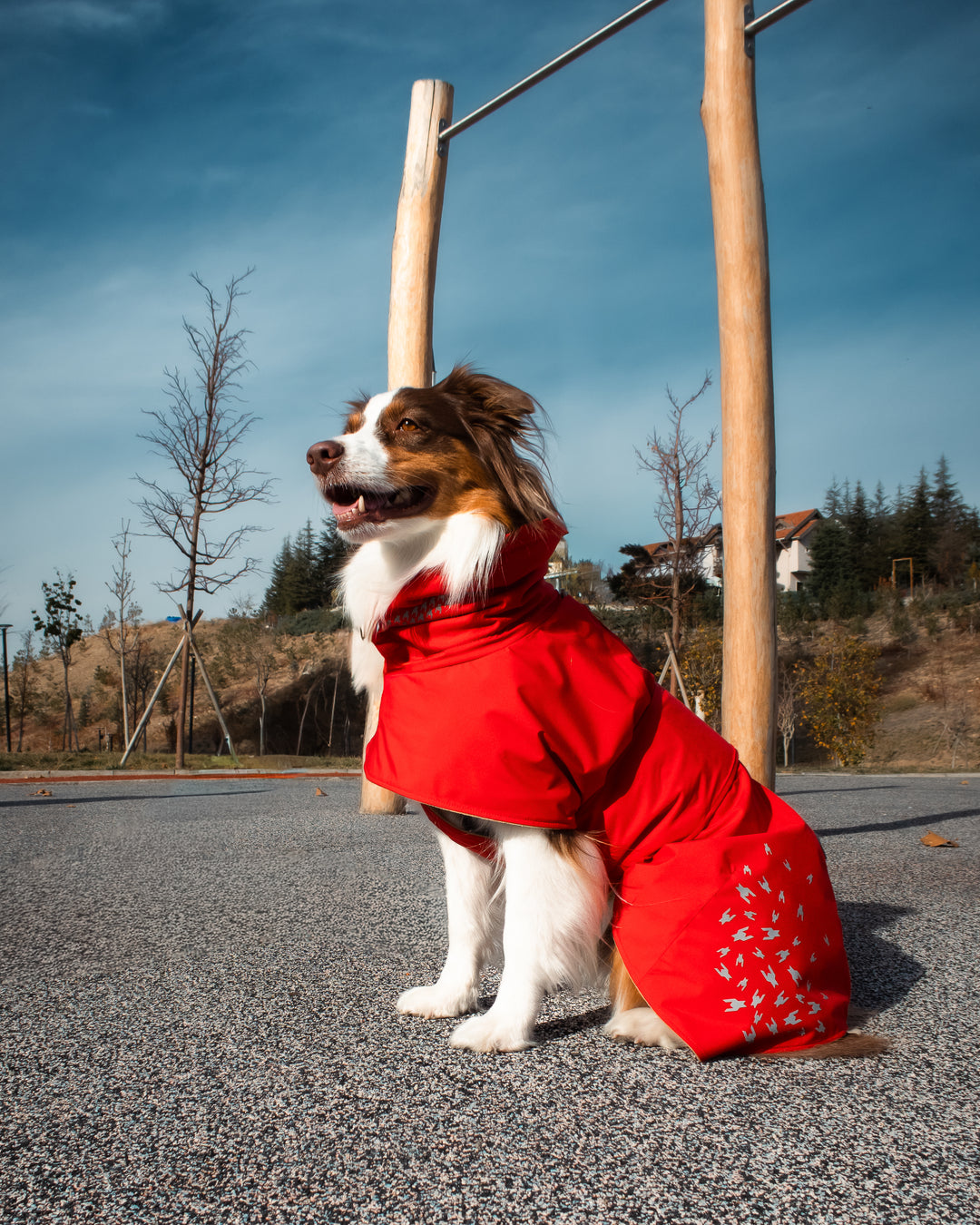 Seattle StormGuard Coat | Scarlet Sand