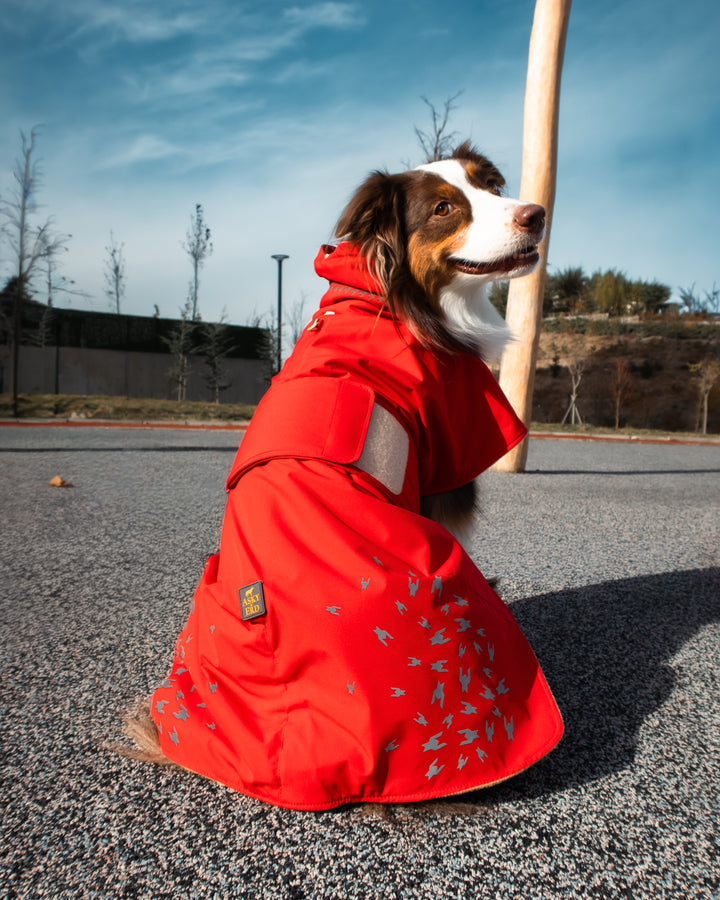 Seattle StormGuard Coat | Scarlet Sand