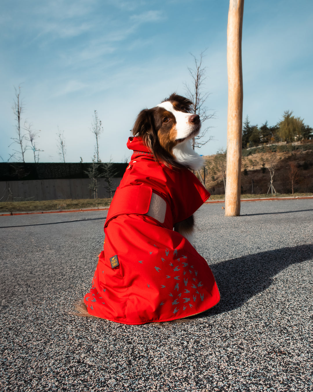 Seattle StormGuard Coat | Scarlet Sand