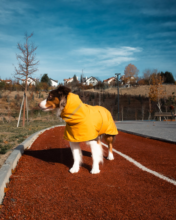 Seattle StormGuard Coat | Mustard Fog