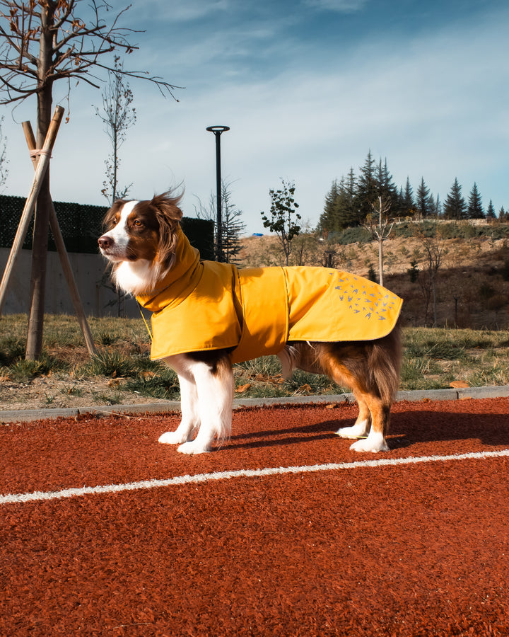 Seattle StormGuard Coat | Mustard Fog